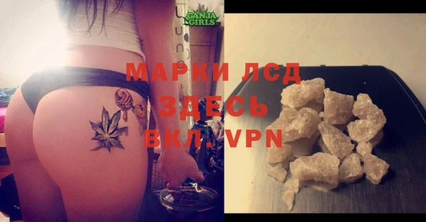 ГАЛЛЮЦИНОГЕННЫЕ ГРИБЫ Беломорск