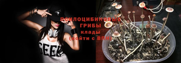 Альфа ПВП Белокуриха