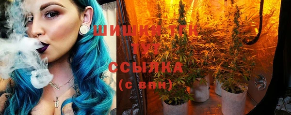 Альфа ПВП Белокуриха