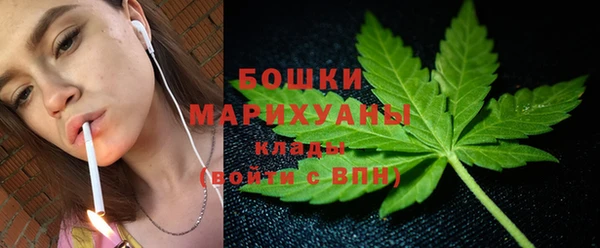 Альфа ПВП Белокуриха