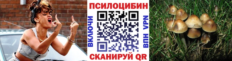 цена   Алексеевка  Галлюциногенные грибы GOLDEN TEACHER 